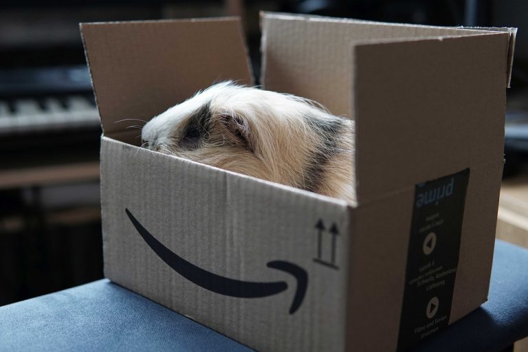 How to spot Amazon Prime scams