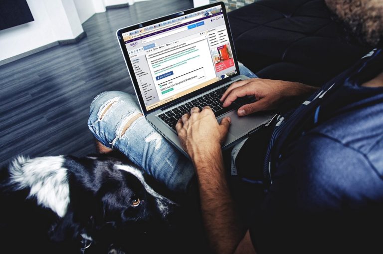 How to earn money online without getting scammed How to earn money online without getting scammed