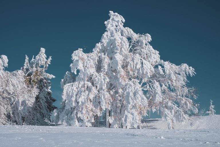 How to winterproof your home on a budget How to winterproof your home on a budget