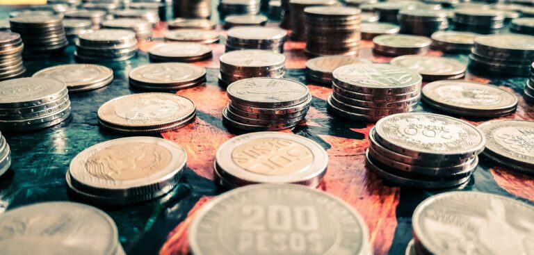 your isa budget guide
